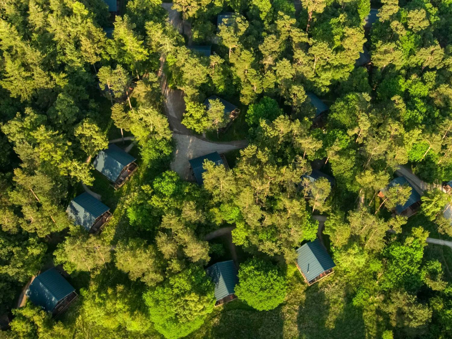 Keldy Forest Cabins - Forest Holidays Pickering Luaran gambar